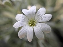 В воздухе и на почве заморозки: прогноз погоды на 29 августа