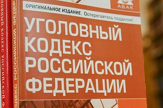 Комитет Госдумы одобрил применение Уголовного кодекса в новых регионах