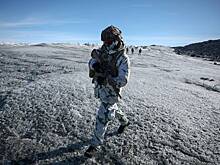 В Дании придумали ответ на стремление Трампа заполучить Гренландию