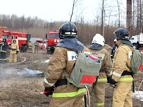 Пожароопасный сезон объявлен в Пензенской области с 15 апреля