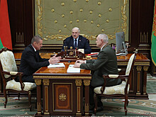 Охотники в Беларуси смогут оставлять себе добытого кабана за плату