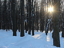 Потепление до 0°С идет в Нижний Новгород