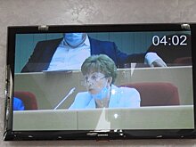 Самсонова: Саратовцев заставят оплатить поликлиники и детские сады у дома