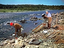 На Камчатке добыча золота в 2020 году выросла на 8%