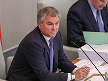 Володин поручил создать рабочую группу для подготовки проектов в развитии поручений президента