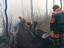 Восьми регионам Урала, Сибири и Дальнего Востока угрожают лесные пожары