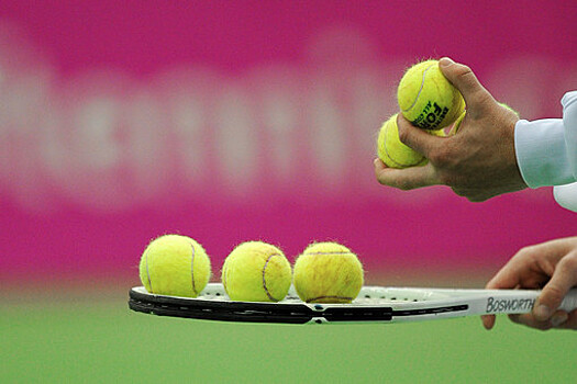 Давыденко считает, что российские теннисисты не отстранены из-за понимающей позиции ATP
