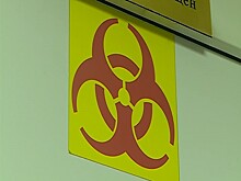 СМИ сообщили о новосибирском школьнике, заразившемся холерой в Индии