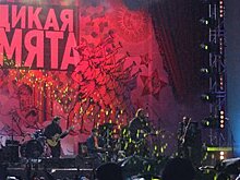 Земфира на "Дикой мяте", Franz Ferdinand и кубок ЧМ: лучшие события недели