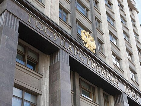 Депутат Останина: материальные ценности у молодежи на первом месте