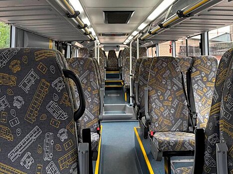 Гербарий и подушку в виде пончика забыли пассажиры Мострансавто в октябре