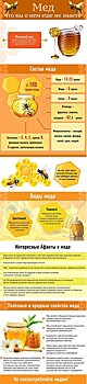Мед пчелиный – интересные факты, польза и вред