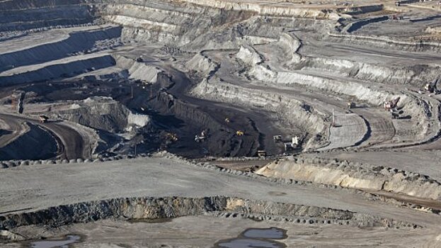 Порошенко готов поддержать американских шахтеров в ущерб своим