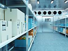 В морозильной камере супермаркета в США обнаружили замерзшую насмерть нагую туристку