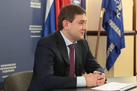 Спикер облдумы Владимир Нетесов помог воронежцам решить социальные вопросы