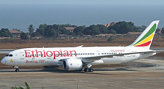 Рейсов в столицу Эфиопии из Домодедово с 1 июня станет больше