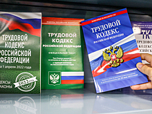 Российские регионы получат право влиять на увольнение иностранных работников