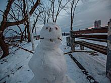 Владивосток приходит в себя после двухдневного снегопада