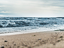 Директора турфирмы в Новосибирске обвиняют в краже 7,5 миллионов рублей