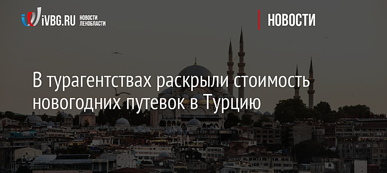 В турагентствах раскрыли стоимость новогодних путевок в Турцию