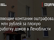 Управляющие компании оштрафовали на 3,8 млн рублей за плохую санобработку домов в Ленобласти
