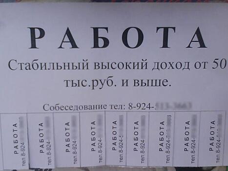 Удаленная работа набирает популярность в регионе
