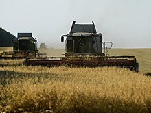 Ткачев: существенное снижение урожая в Северной Америке может повысить мировые цены на зерно