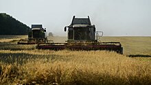 В правительстве сообщили о продлении нулевой пошлины на экспорт пшеницы