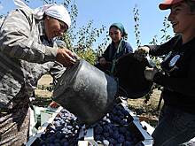 Минтруд предложил уточнить условия переезда сезонных работников