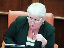 Депутат посоветовала коллеге "следить за базаром"