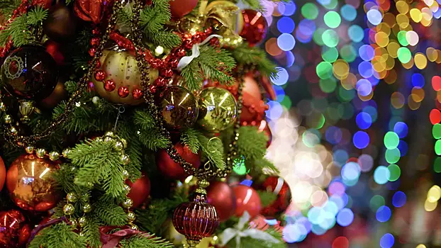 Названы самые популярные схемы мошенников перед новогодними праздниками