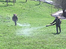 В Ленинском районе обработают от клещей 100 зеленых зон