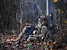 Залужный вангует: При сохранении киевской власти Украина превратится в "Дикое поле"