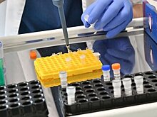 Оперштаб назвал регионы с наименьшим темпом прироста случаев COVID-19