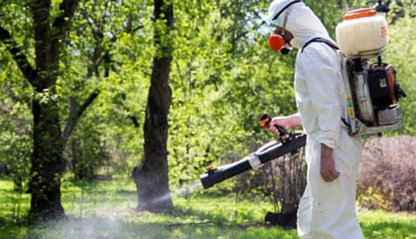 Роспотребнадзор по САО обследует парковые и лесопарковые зоны на предмет выявления вирусных комаров и клещей