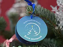 В Москве объявили о старте "Елки желаний"