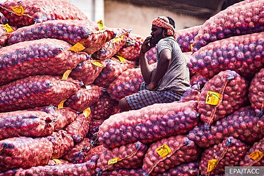 Как возник всемирный луковый кризис