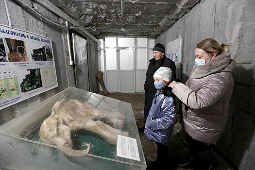 Ученые намерены оживить мамонта