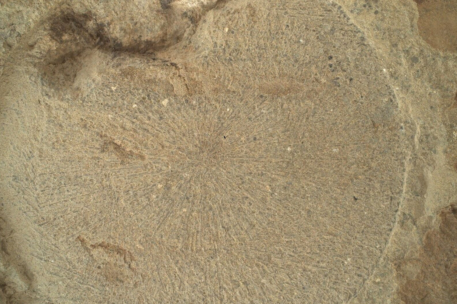 На Марсе обнаружено аномальное чередование светлых и темных пород