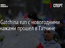 Забег Gatchina run с новогодними персонажами прошел в Гатчине
