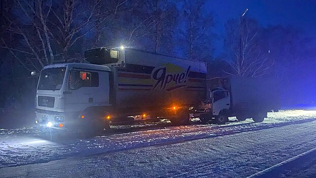 Трагедия на трассе: один погиб, один пострадал в результате ДТП в Новосибирской области