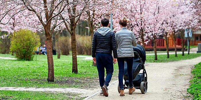 Собянин утвердил новый порядок выплаты пособий на детей