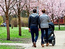 Собянин утвердил новый порядок выплаты пособий на детей