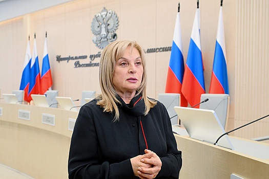 Памфилова: Число действующих партий сократилось до 21