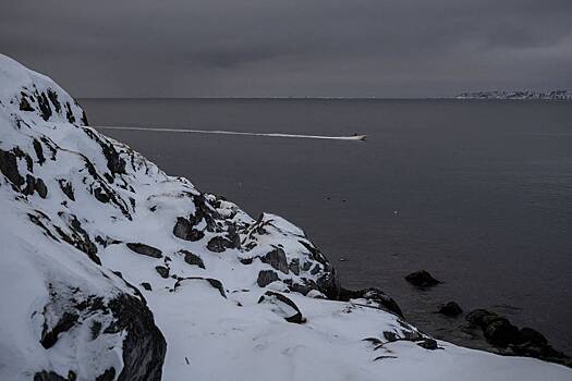 Экс-офицер США назвал стратегическую ценность Гренландии