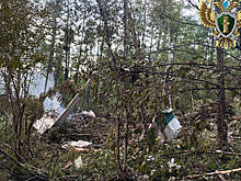 ТАСС: площадь разброса обломков разбившегося Ан-24 достигает одного гектара