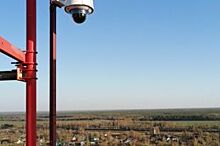 В лесах Владимирской области появились камеры видеонаблюдения