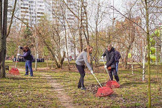 Субботники пройдут в столице 12 и 26 апреля – Собянин