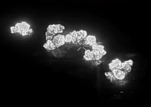Военнослужащие группировки войск «Восток» уничтожили опорные пункты ВСУ в Великой Новоселке