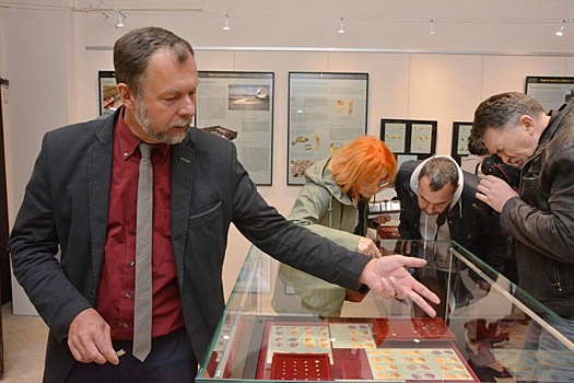 Впервые показан один из крупнейших кладов кельтского золота в Европе